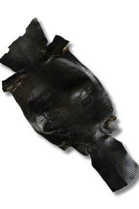 Кожа натуральная ИГУАНА коричнево-зеленый глянец 17-19см 00000079810 фото