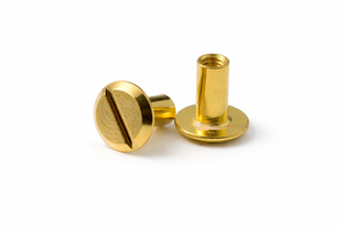Винт ременной с наружной резьбой ЗОЛОТО ECOBRASS 3,5х5мм 00000071052 фото