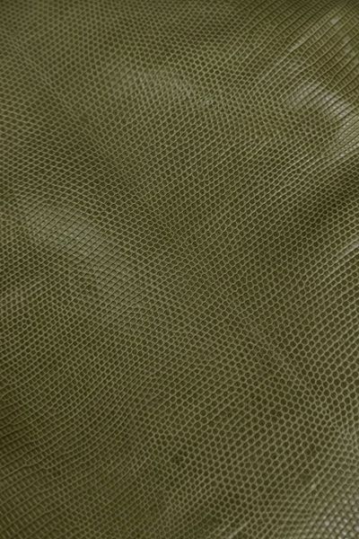 Кожа натуральная ИГУАНА оливковый OLIVE полуглянец 19-21см 00000080305 фото