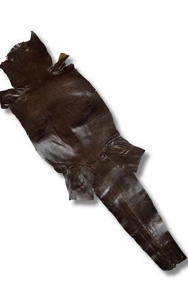 Шкіра натуральна ІГУАНА коричневий BROWN CHOCO глянець 20-22см 00000080318 фото