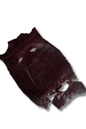 Шкіра натуральна ЯЩІРКА Tejus рожевий BERRY 18-21см 00000080241 фото