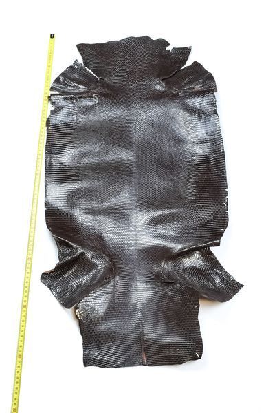 Кожа натуральная ИГУАНА 5XL коричневый 40см/ длина 79см 00000081003 фото