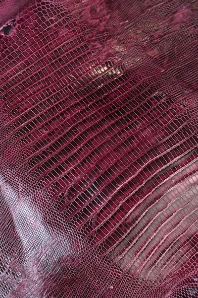Шкіра натуральна ЯЩІРКА Tejus бордо BURGUNDY 27-28см 00000080198 фото