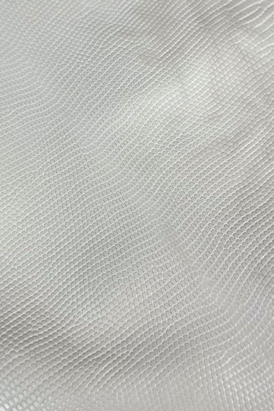 Кожа натуральная ИГУАНА белый WHITE полуглянец 26-28см 00000080273 фото