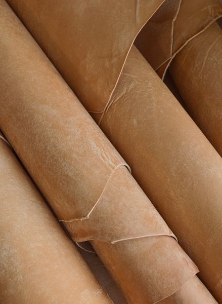 Пола Vegetale MAYA беж NATURAL 1,2-1,4 Il Ponte Италия 00000075710 фото
