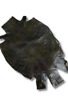 Шкіра натуральна ІГУАНА чорний GRI NERO матовий 21-24см 00000080341 фото