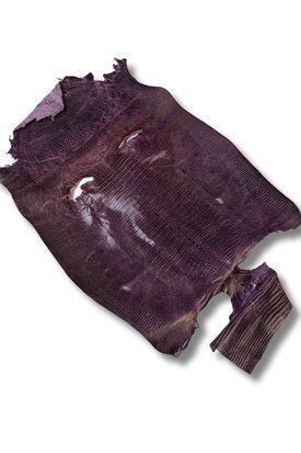 Шкіра натуральна ЯЩІРКА Tejus фіолет VIOLA 27-31см 00000080204 фото