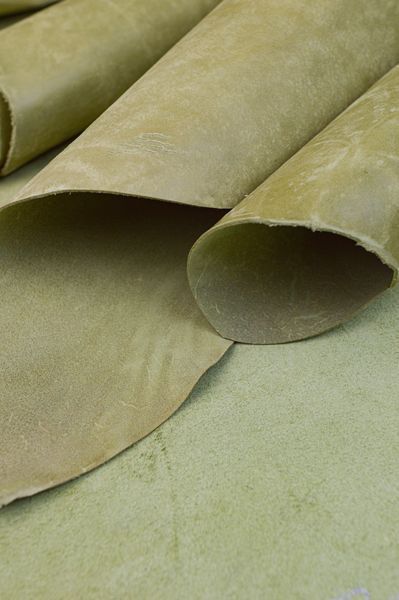 Пола Vegetale MAYA зеленый SALVIA 1,2-1,4 Il Ponte Италия 00000075899 фото