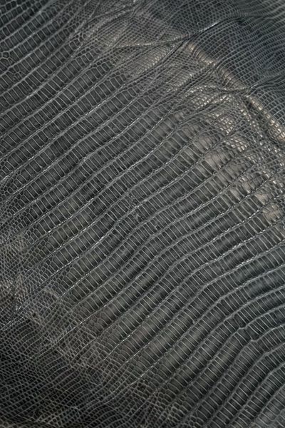 Шкіра натуральна ЯЩІРКА Tejus сірий RAIN 30-37см 00000080206 фото