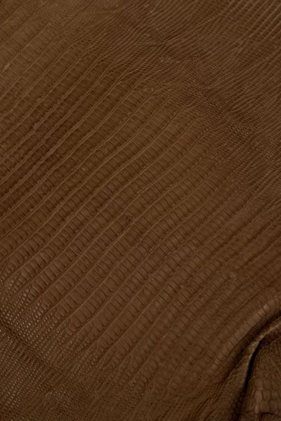 Шкіра натуральна ЯЩІРКА Tejus коричневий матовий MILK CHOCO 28-32см 00000080214 фото