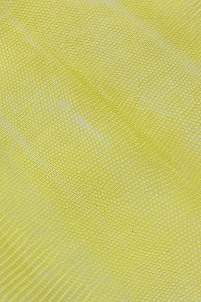 Шкіра натуральна ІГУАНА жовтий матовий LIMONCELLO 30-31см 00000080231 фото