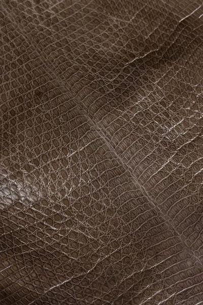Шкіра натуральна ІГУАНА коричневий COCOA напівглянець 26-27см 00000080355 фото