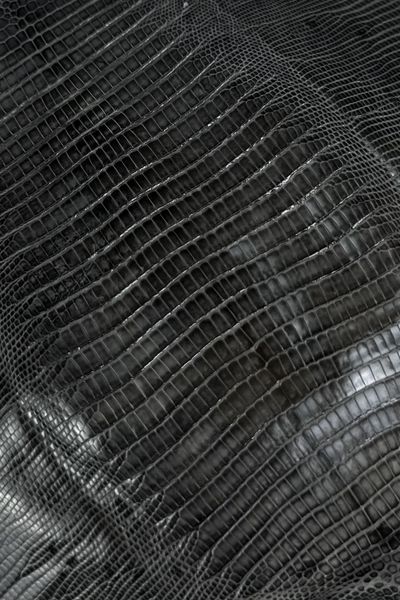 Шкіра натуральна ЯЩІРКА Tejus сірий MOUSE 20см 00000080217 фото