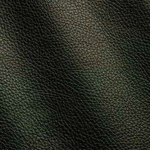 Кожа Флотар ADRIA зеленый LODEN 1,2-1,4 Италия 00000063260 фото