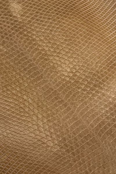 Кожа натуральная ИГУАНА коричневый WOOD матовый 23-24см 00000080294 фото
