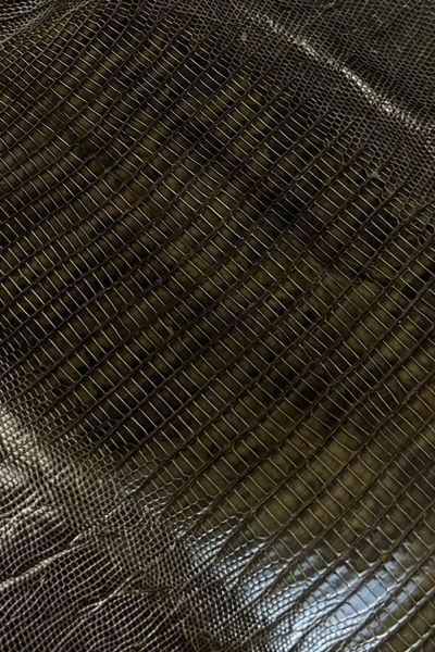 Шкіра натуральна ЯЩІРКА Tejus коричневий KHAKI 27-30см 00000080221 фото