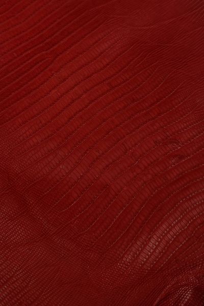 Кожа натуральная ЯЩЕРИЦА Tejus красный матовый ROSSO 28-31см 00000080224 фото