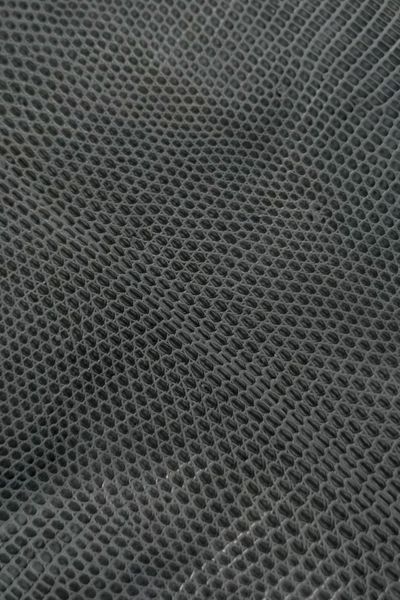 Шкіра натуральна ІГУАНА сірий ALUMINIUM напівглянець 18-20см 00000080302 фото