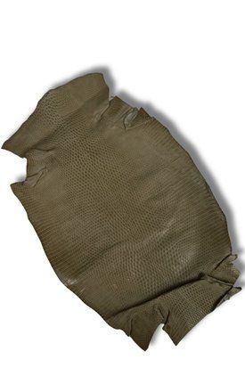 Кожа натуральная ИГУАНА беж сахара 17-18см 00000079809 фото