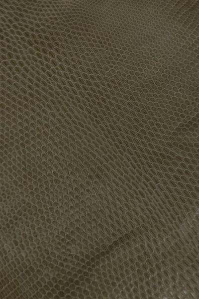 Шкіра натуральна ІГУАНА беж сахара 17-18см 00000079809 фото