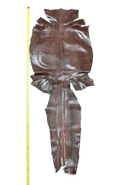 Кожа натуральная ИГУАНА 2XL коричневый 35см/ длина 96см 00000081001 фото