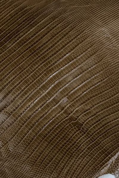 Шкіра натуральна ЯЩІРКА Tejus коричневий CACAO 27-29см 00000080234 фото