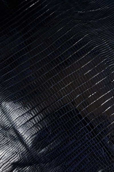 Шкіра натуральна ЯЩІРКА Tejus синій DARK NAVY 18см 00000080235 фото
