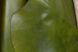 Шкіра Vegetale TESSA зелений VERDE 1,5 Італія 00000068709 фото 2